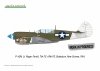 Eduard R0025 P-40N WARHAWK ROYAL CLASS DUAL COMBO 1/48